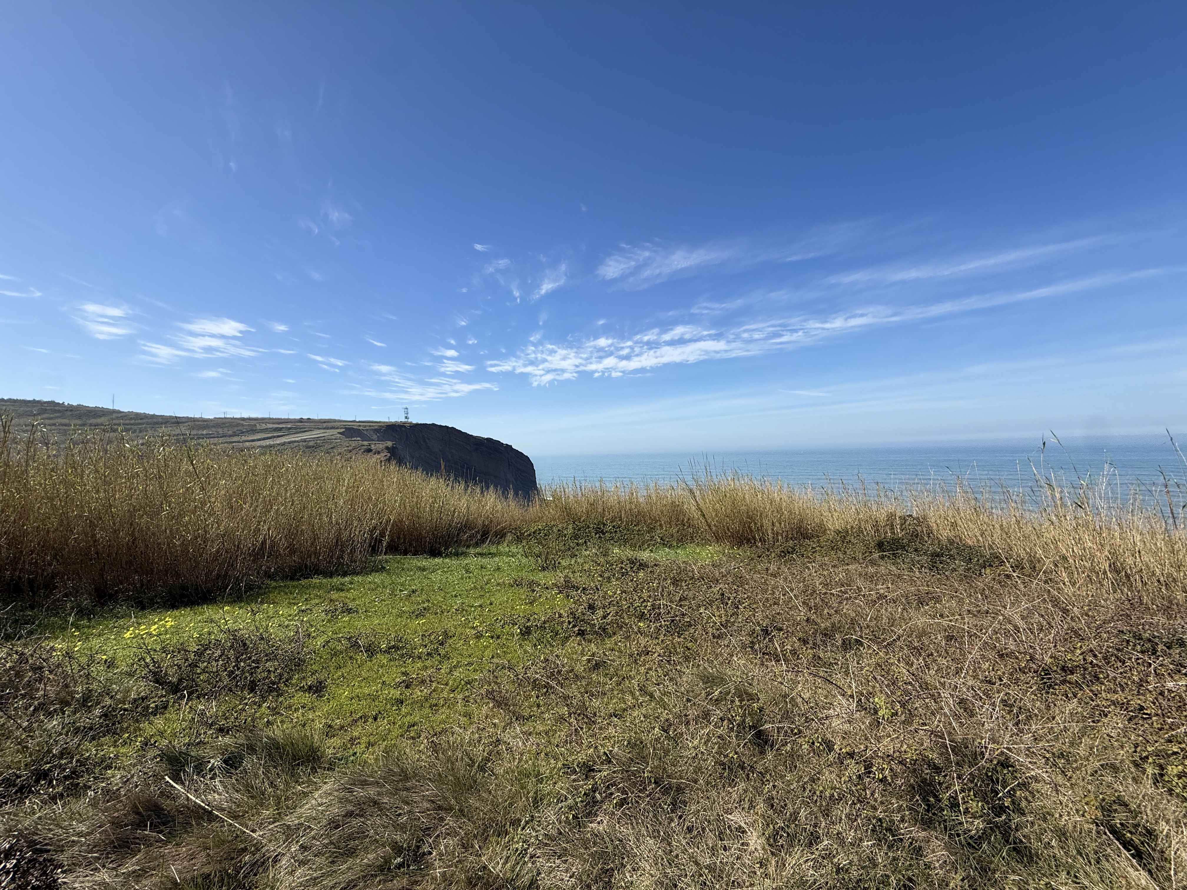 Terrain